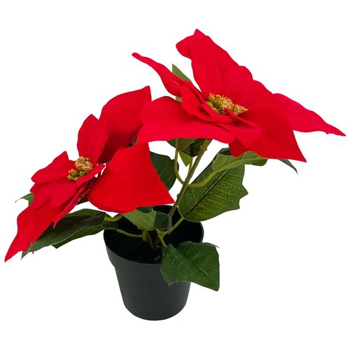  Umjetna biljka Božićna zvijezda u tegli, 40 cm, sort Slike