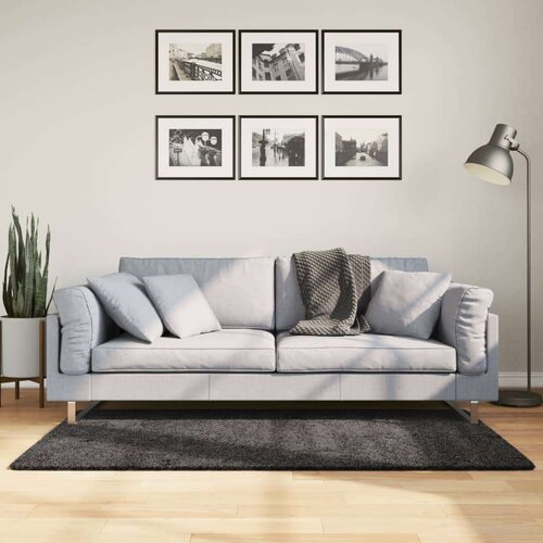 Čupavi moderni tepih s visokim vlaknima antracit 120 x 170 cm Cijene