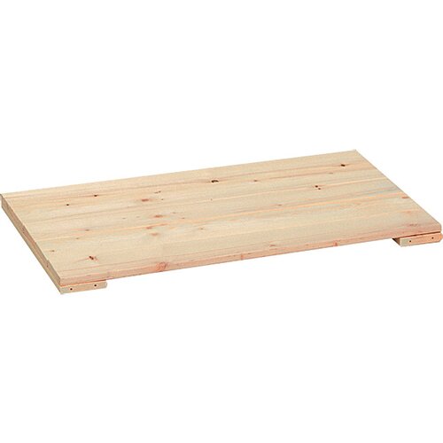 REGALUX Polica za regal Heavy (120 x 46,8 cm, nosilnost: 200 kg) Cene