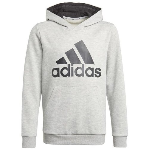 Adidas Big Logo HD Siva Slike