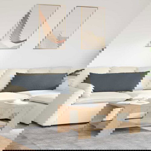 vidaXL jastučići za sofu 2 pcs tamno siva 120 x 40 cm kordura tekstil Cene