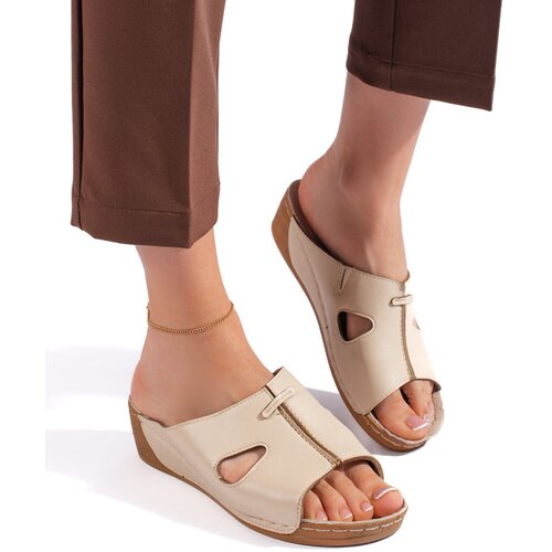 Shelvt Comfortable women's wedge flip-flops beige Cene
