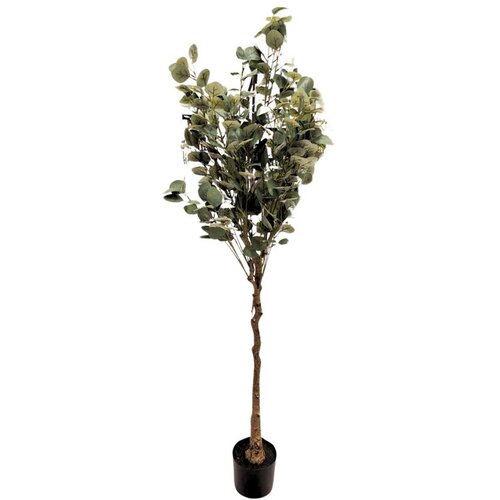  Drvo OLIVE 120cm - N61 Cene