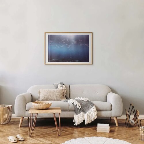  Plakat - Fish in the Depths 60x40 Zlatni okvir s margom Cene