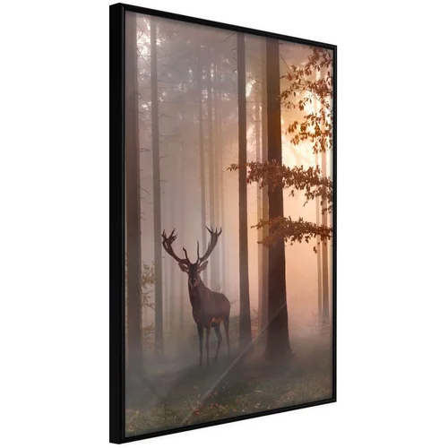  Poster - Forest Seclusion 20x30