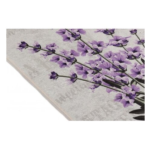 Conceptum Hypnose Lavender DJT ( 60 x 90) tepih Slike