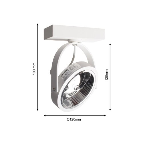  Zidna reflektorska svetiljka LUGAR 1xAR111 - GU10/25W/230V Slike