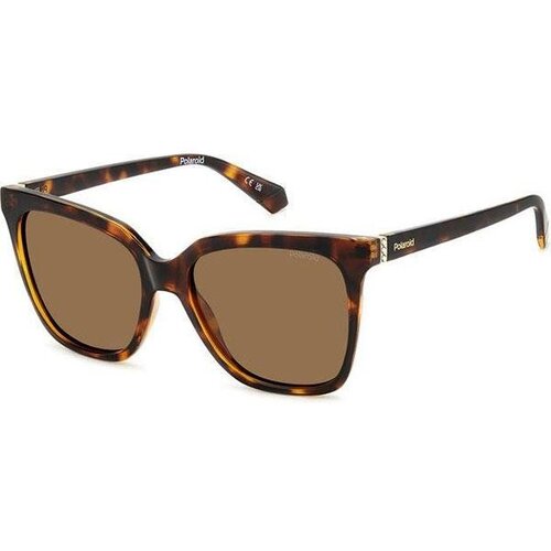 Polaroid PLD4155/S/X 086/SP Polarized ONE SIZE (55) Havana/Rjava Slike