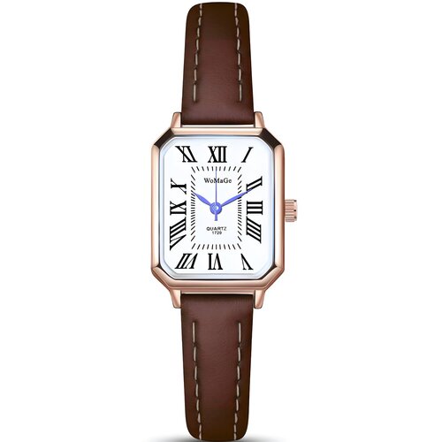 Sat TE-38896 - Smeđa KP38896 Cene