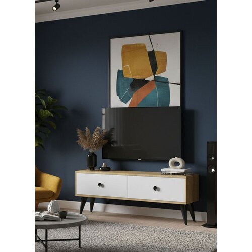Hanah home Hanah Kućna TV komoda Mona 120, 120x40,5x32cm, Bijela Cijene