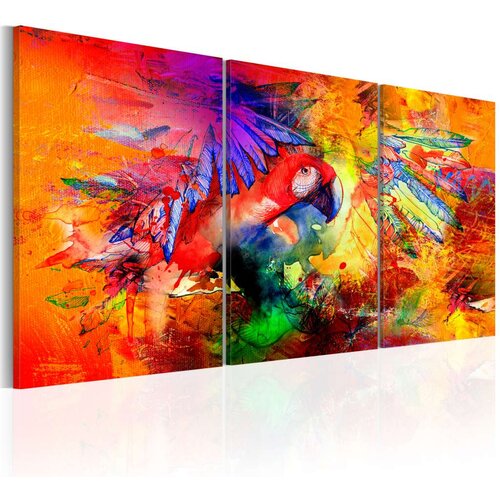  Slika - Colourful Parrot 60x30 Slike