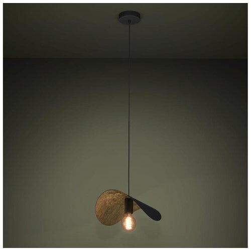 Eglo 390392 - visilica na sajli saceda 1xE27/40W/230V 41 cm crna/zlatna Cene