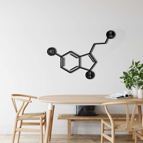 Wallxpert metalni zidni ukras 5113, strukturna formula molekula serotonina, 60 x 42 cm, crni Cene