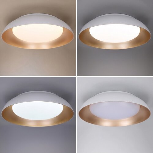  Brilagi - LED prigu&amp;scaron;iva svetiljka ALVA LED/48W/230V 3000-6500K fi 51 cm bela + daljinski upravljač Slike
