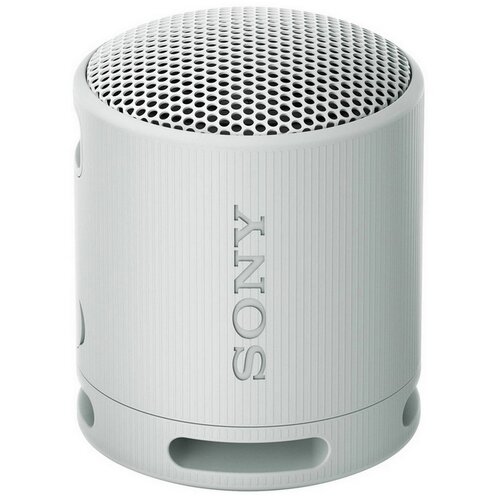 Sony bluetooth zvučnik SRSXB100H.CE7 Cene