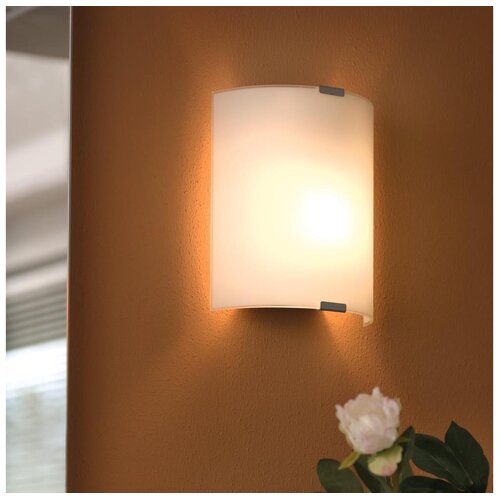Eglo Grafik zidna lampa/1 l210 b180 saten Cijene