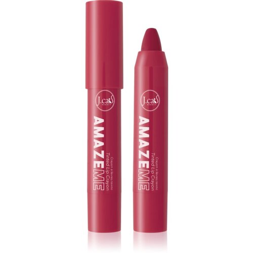 J.Cat Beauty Amaze Me kremasti svinčnik za ustnice odtenek 102 Really Special 4 g Cene