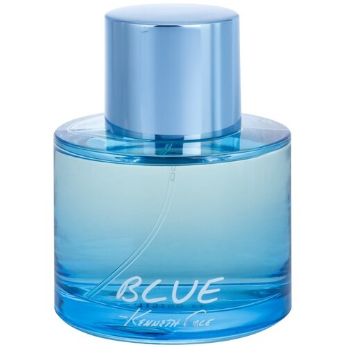 Kenneth Cole Blue toaletna voda za moške 100 ml Cene