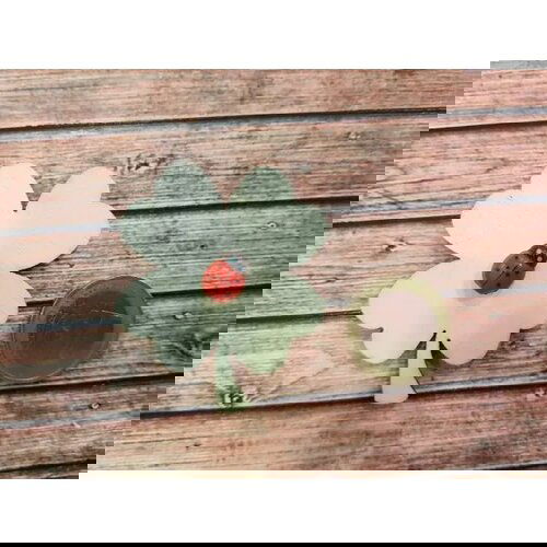  Dekorativni leseni izdelki -deteljice 25 kom LESDET 02 Cene