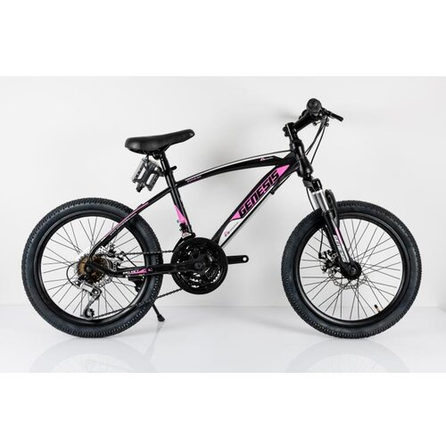 Winner Bike Bicikle BIC.20&amp;quot;/6 SUS GENESIS VALVET Slike