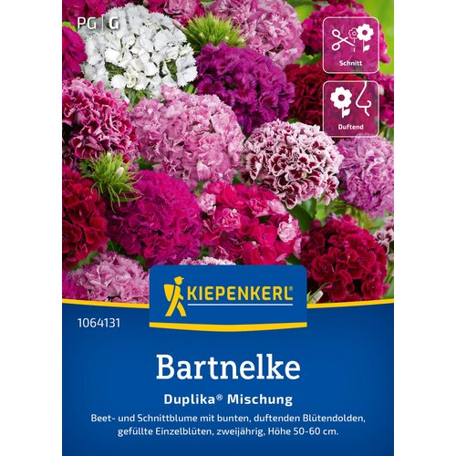 KIEPENKERL Brkati nageljček "Duplika® Mix" - 1 pkt. Cene