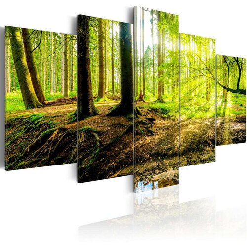  Slika - Poetry of a Forest 100x50 Cijene