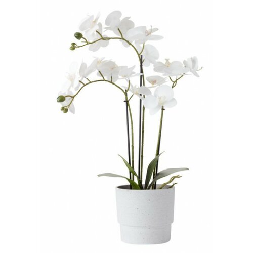  Veštačka biljka Matinus V62cm sa cvet. ( 4912213 ) Cene