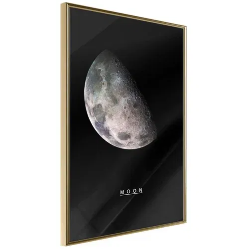  Poster - The Solar System: Moon 40x60