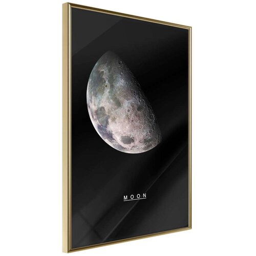  Poster - The Solar System: Moon 40x60 Slike