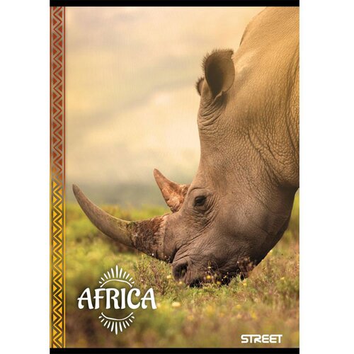 STREET Zvezek A4 Africa, mali karo, 80 listov, sortirano, 1 kos Slike