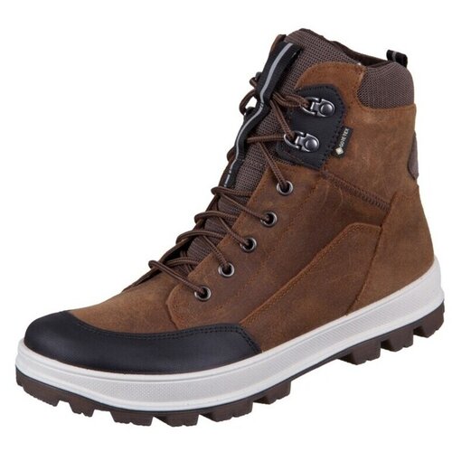 Superfit Polškornji Tedd pisana Cene