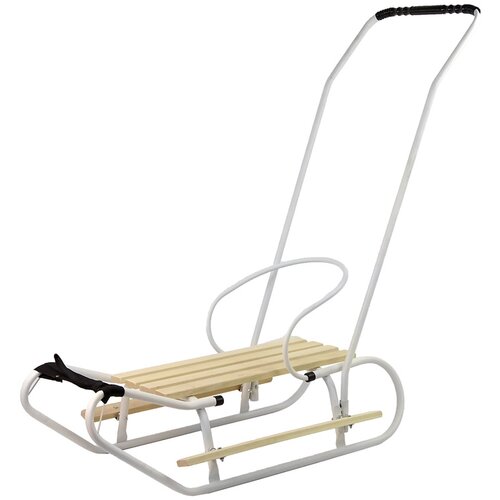 Metal Sled with Push Bar Backrest Strap White Cijene