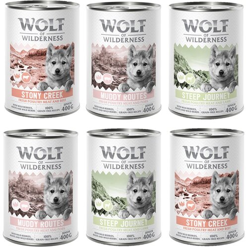  10% popust! Mokra pasja hrana Wolf of Wilderness me&scaron;ana pakiranja  6 x 400 g: JUNIOR - z veliko sveže perutnine me&scaron;ano pakiranje Cijene