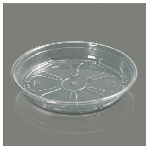 Prosperplast podmetač coubi 17x2cm transparent PR PPC175-CS99G Cene