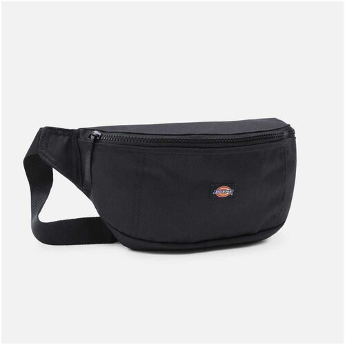 Dickies BLANCHARD BLACK Crna Slike