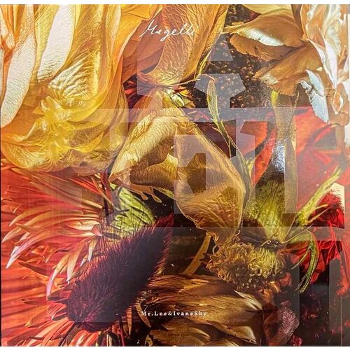 POSNETI MEDIJI Mr. Lee & IvaneSky - Magelli - LP, (21009959) Cene