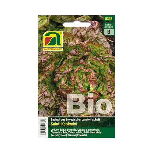 BIO glavnata solata Merveille des quatre saisons Cene