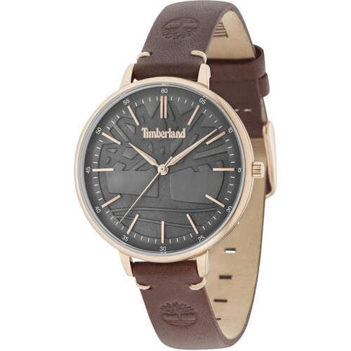 Timberland moška ročna ura TBL15261MSR-61 Cene