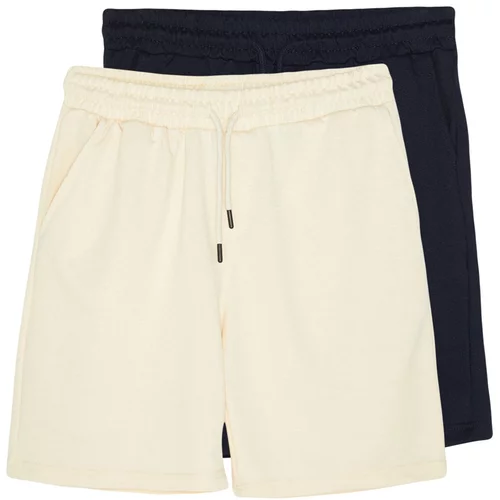 Trendyol Navy Blue-Stone Men's Basic Regular/Normal Cut 2-Pack Shorts