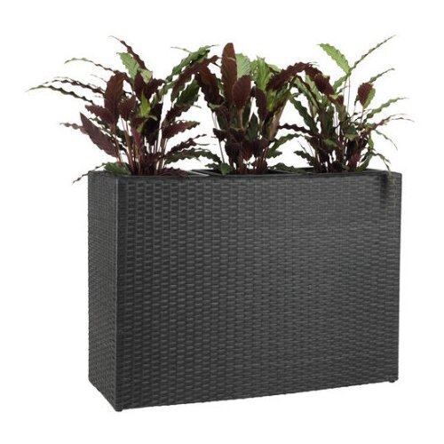  Saksija stokkand Š30xD83xV60 crna ( 6432740 ) Cene