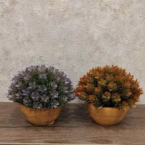 Dekordom cvet u saksiji - succulent HX0461 - N38 Slike