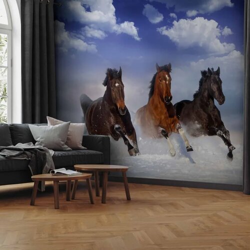  Foto tapeta - Horses in the Snow 500x350 Premium Cene