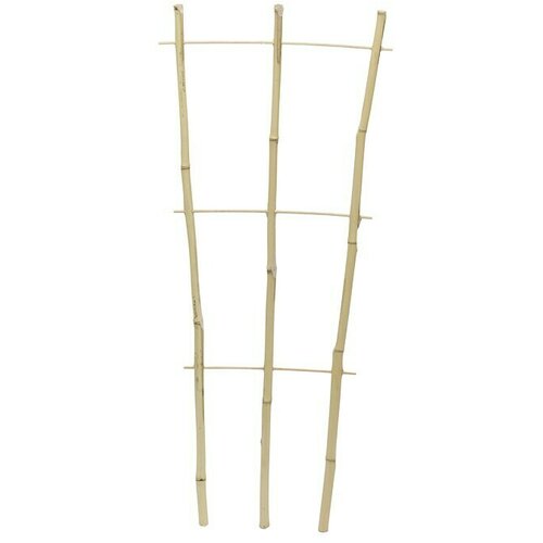 Flora World Element za penjačice (32 x 75 cm, Drvo, Natur) Cijene
