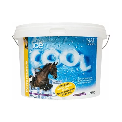 Ice Cool - 6 kg
