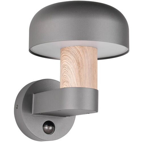  Zidna vanjska svjetiljka (visina 24,5 cm) Fraser &amp;ndash; Slike
