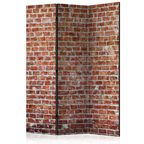  Paravan u 3 dijela - Red Rock [Room Dividers] 135x172