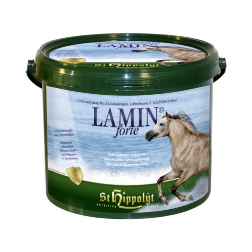 St.Hippolyt Lamin forte Slike