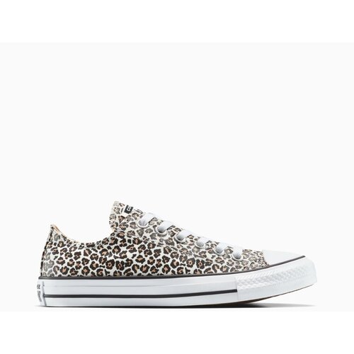 Converse Ženske patike chuck taylor all star leopard Cene
