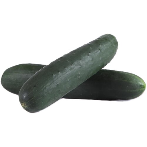 Maxi pijaca Krastavac domaci Cene