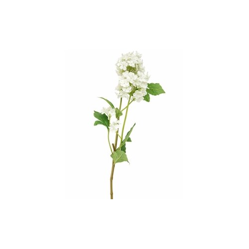 DEKOR DOM Cvet elder 1183181/3 - white - edl Cene